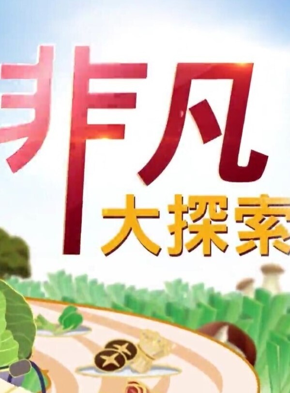 新流出酒店偷拍和媳妇闺蜜开房偷情各种姿势草简直就是活春宫 - 奇止大乳
